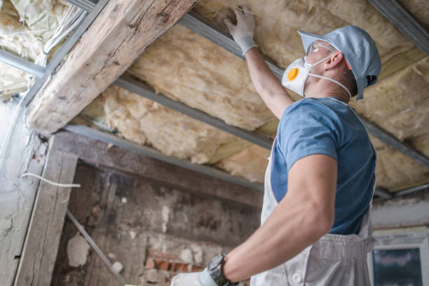 Best Geographic-Specific Insulation Services in West Mountain, UT