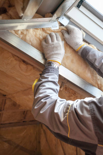 Best Specialized Insulation Services in West Mountain, UT
